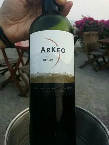 Chile (9).jpg