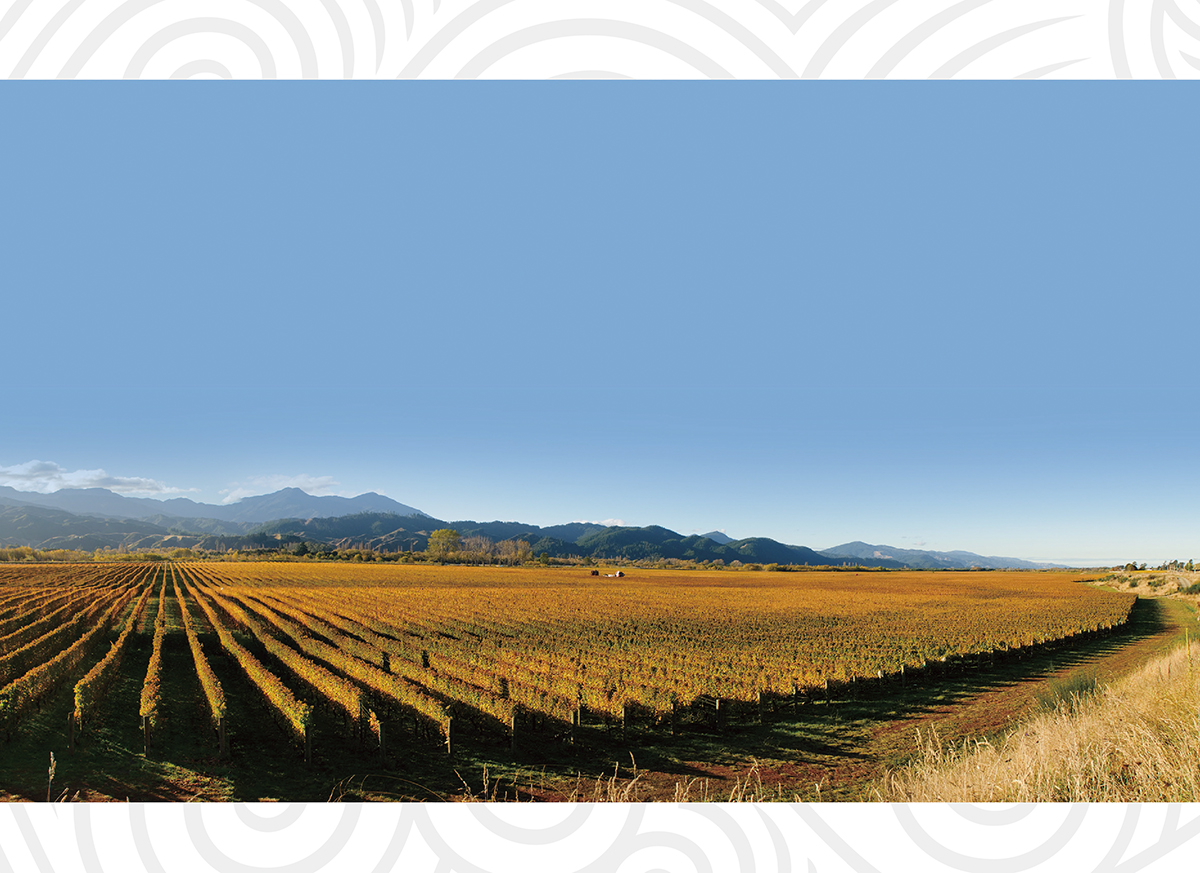 Kaikoura Sounds Presentation2.jpg