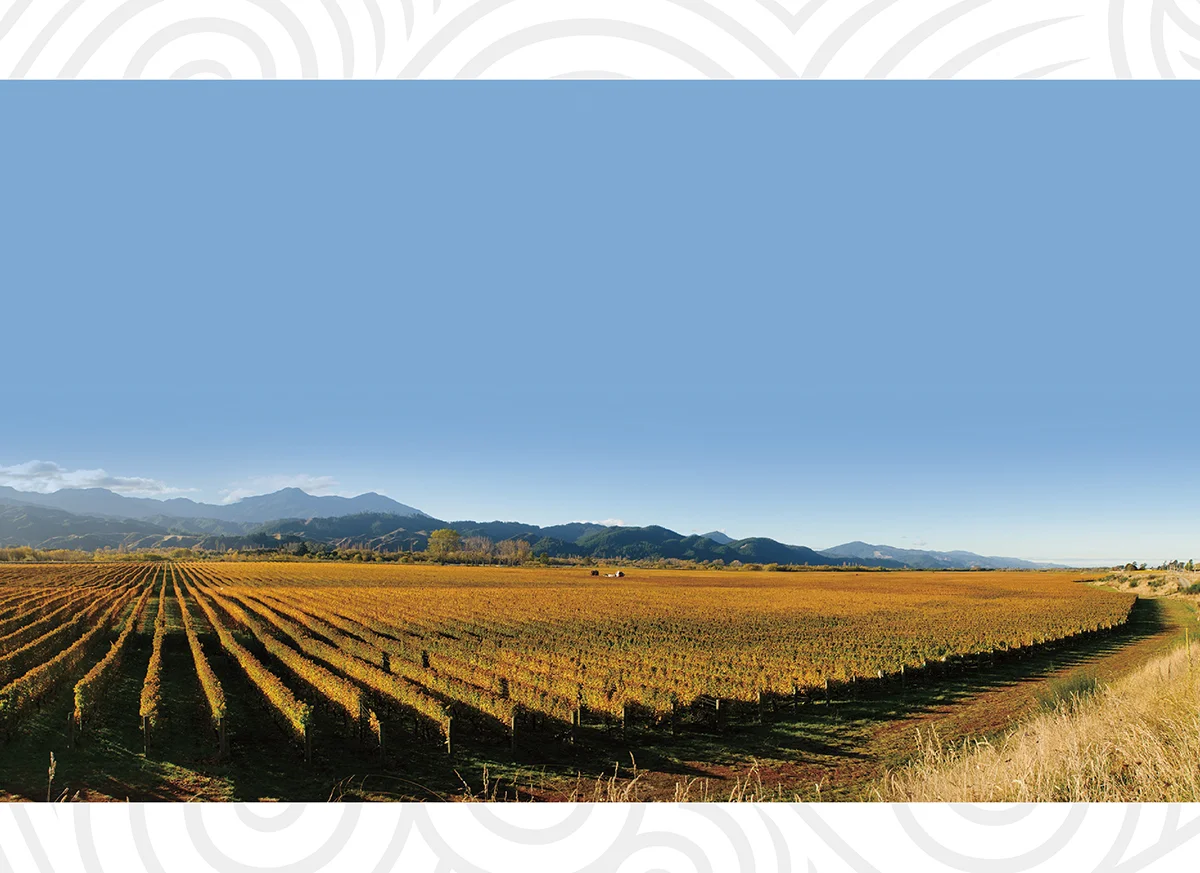 Kaikoura Sounds Presentation2.jpg