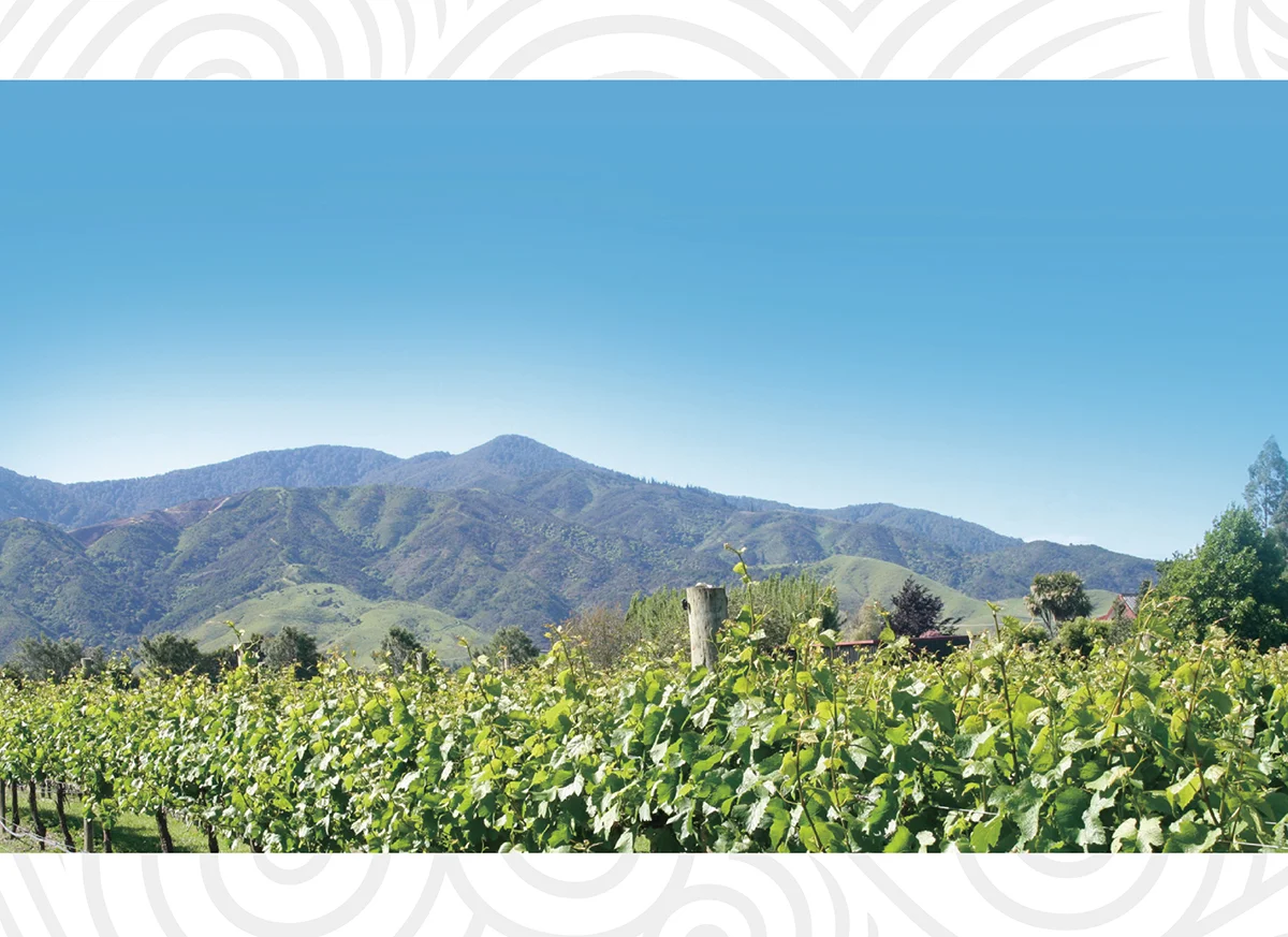 Kaikoura Sounds Presentation3.jpg