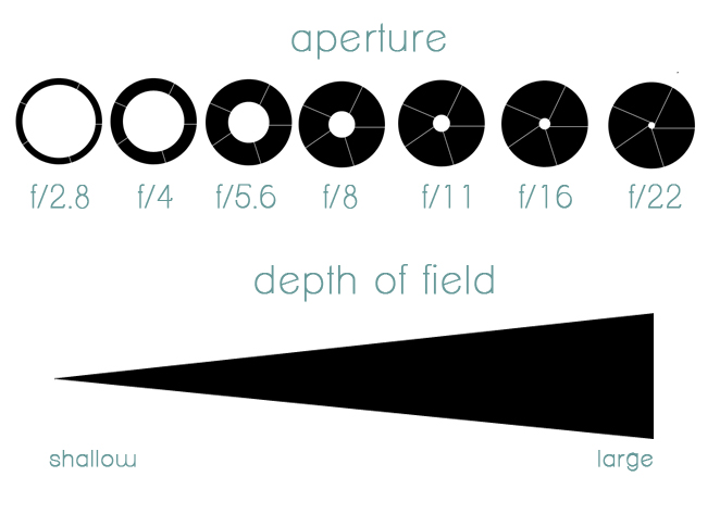 As you can see for yourself, higher f-stop numbers means the lens is more closed taking in little light