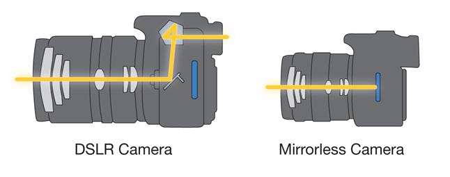 Observe the mirror box inside the DSLR camera, look real closely.