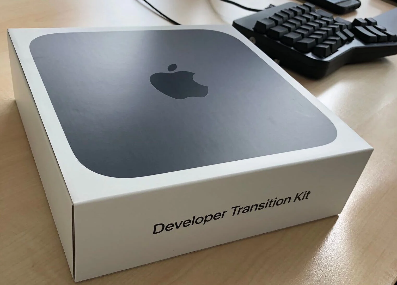 We have benchmarks of Apple's ARM based developer kit show up online
