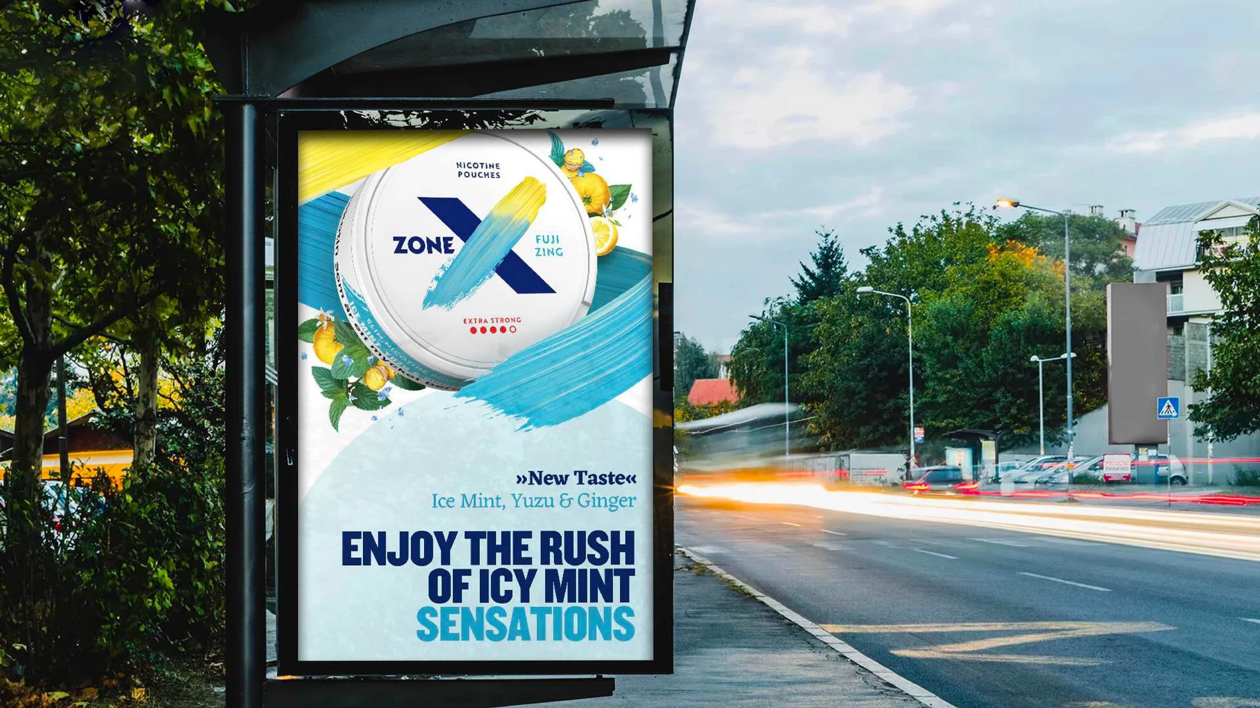 AW_J8120_Zone_X_Fuji_Zing_Activation_Toolkit Folder_SAMPLES.jpg