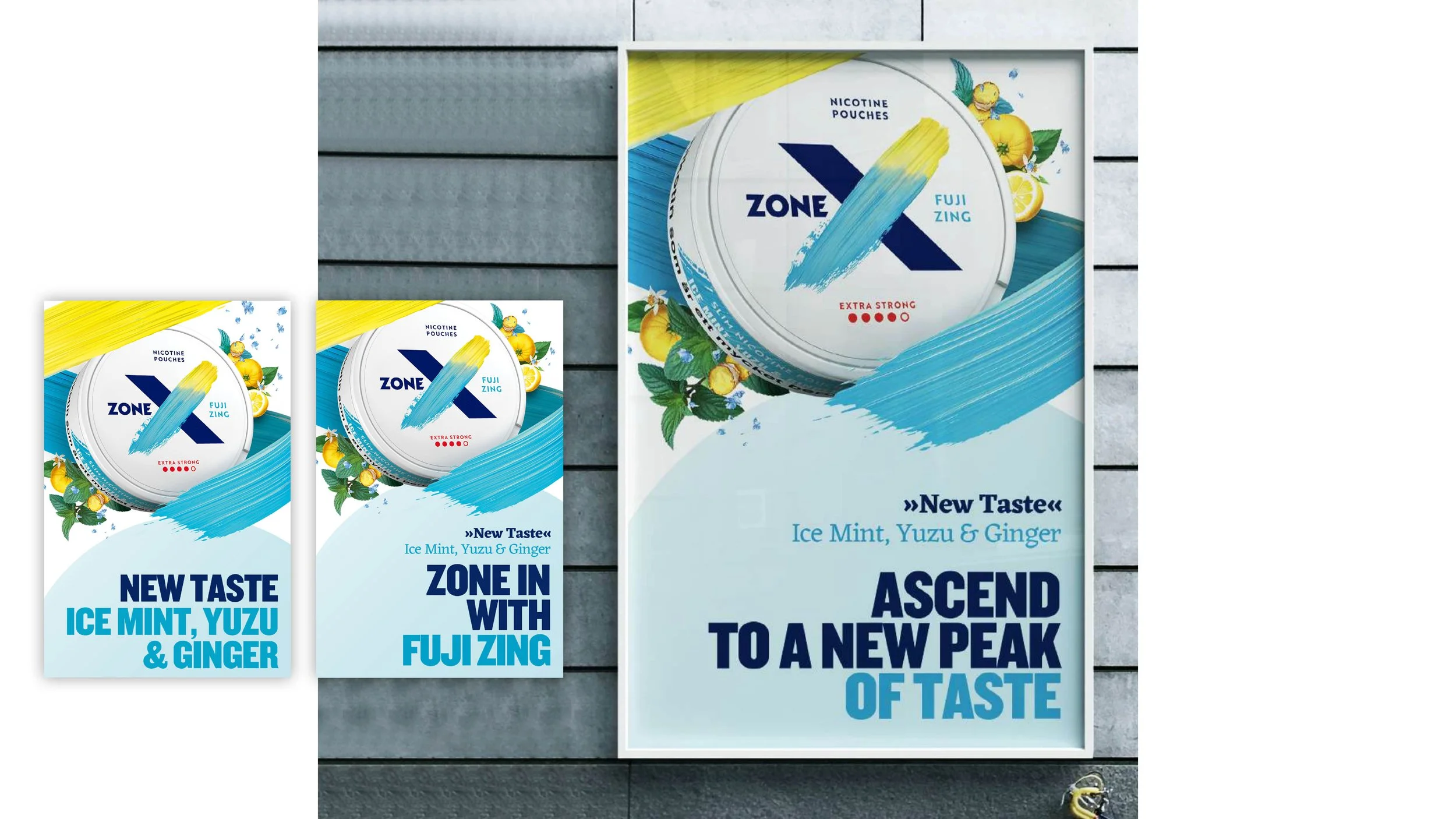 AW_J8120_Zone_X_Fuji_Zing_Activation_Toolkit Folder_SAMPLES4.jpg