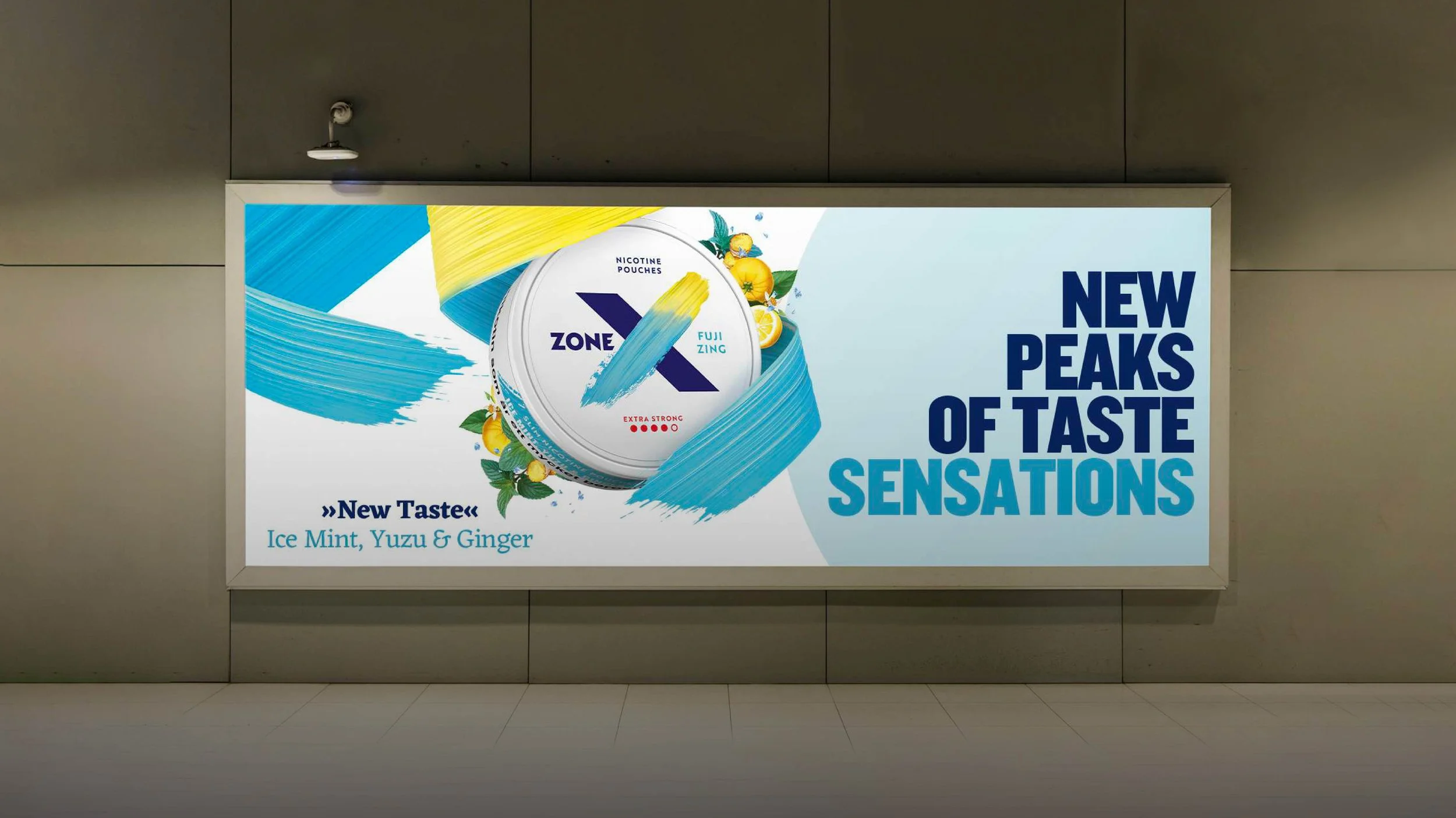 AW_J8120_Zone_X_Fuji_Zing_Activation_Toolkit Folder_SAMPLES5.jpg