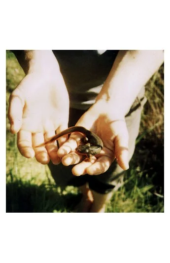 Polaroid // Newt Spot