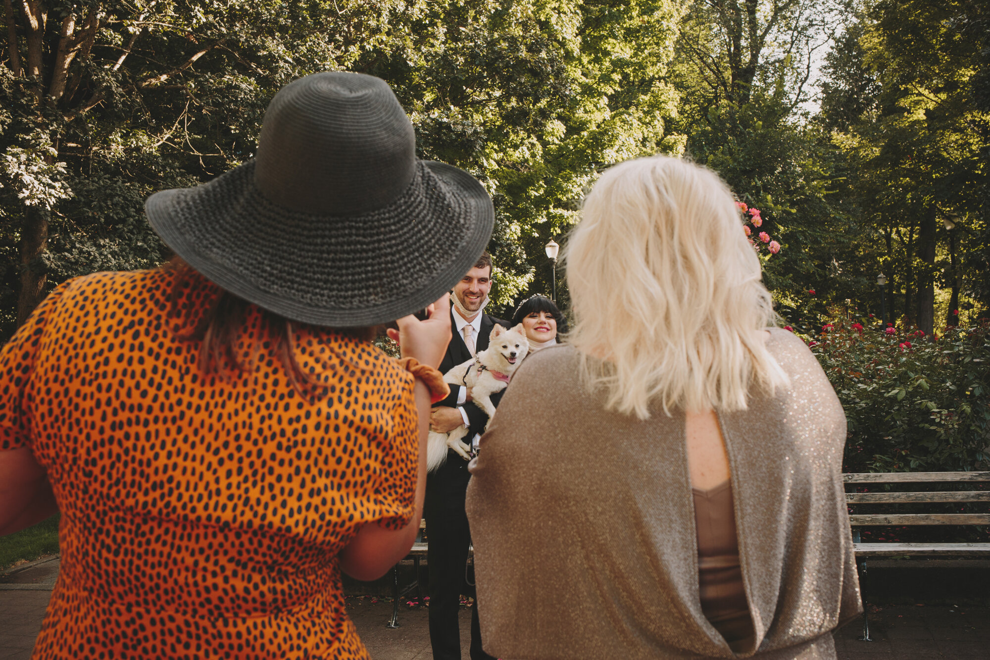 Courthouse wedding guests photograph the newlyweds