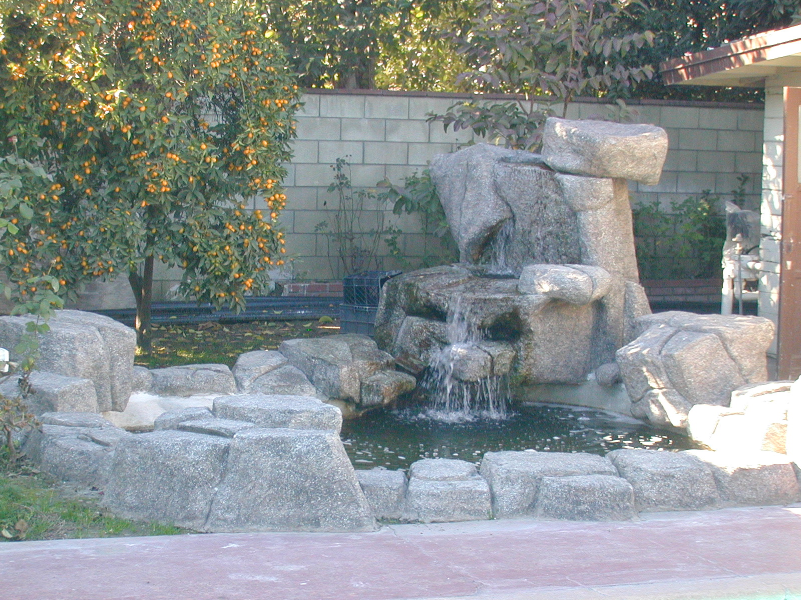 DSCN0488.JPG