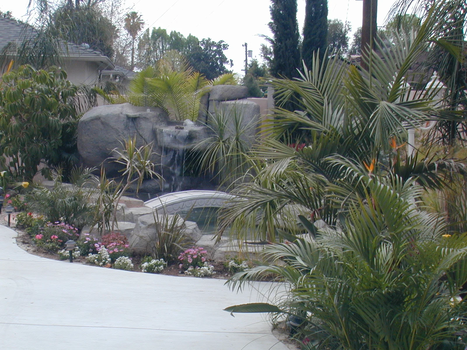 DSCN0551.JPG