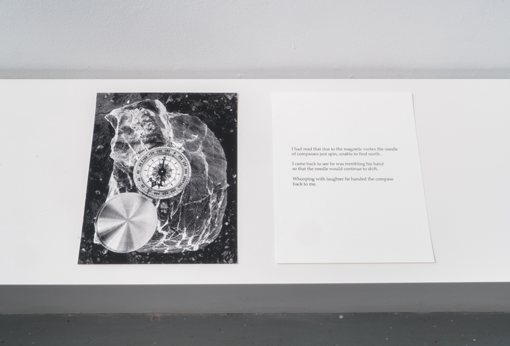What did I expect to find? 2017 silkscreen, 10 x 8" (2 units)