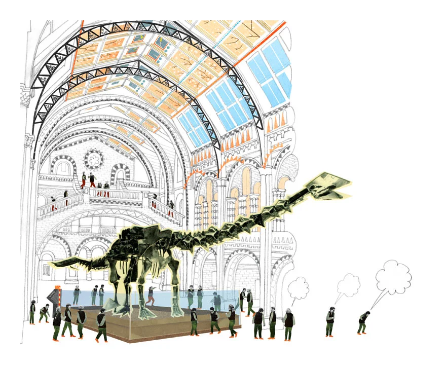 natural-history.jpg