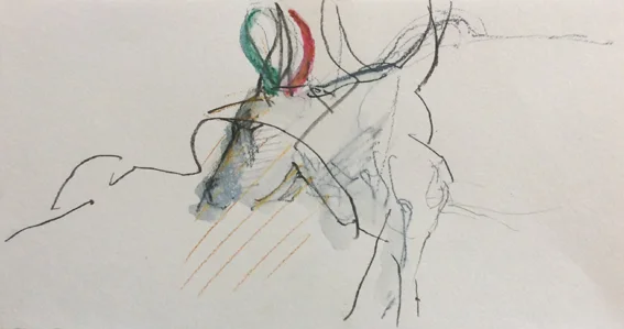 Indian Ox 3