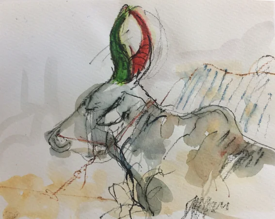 Indian ox, resting