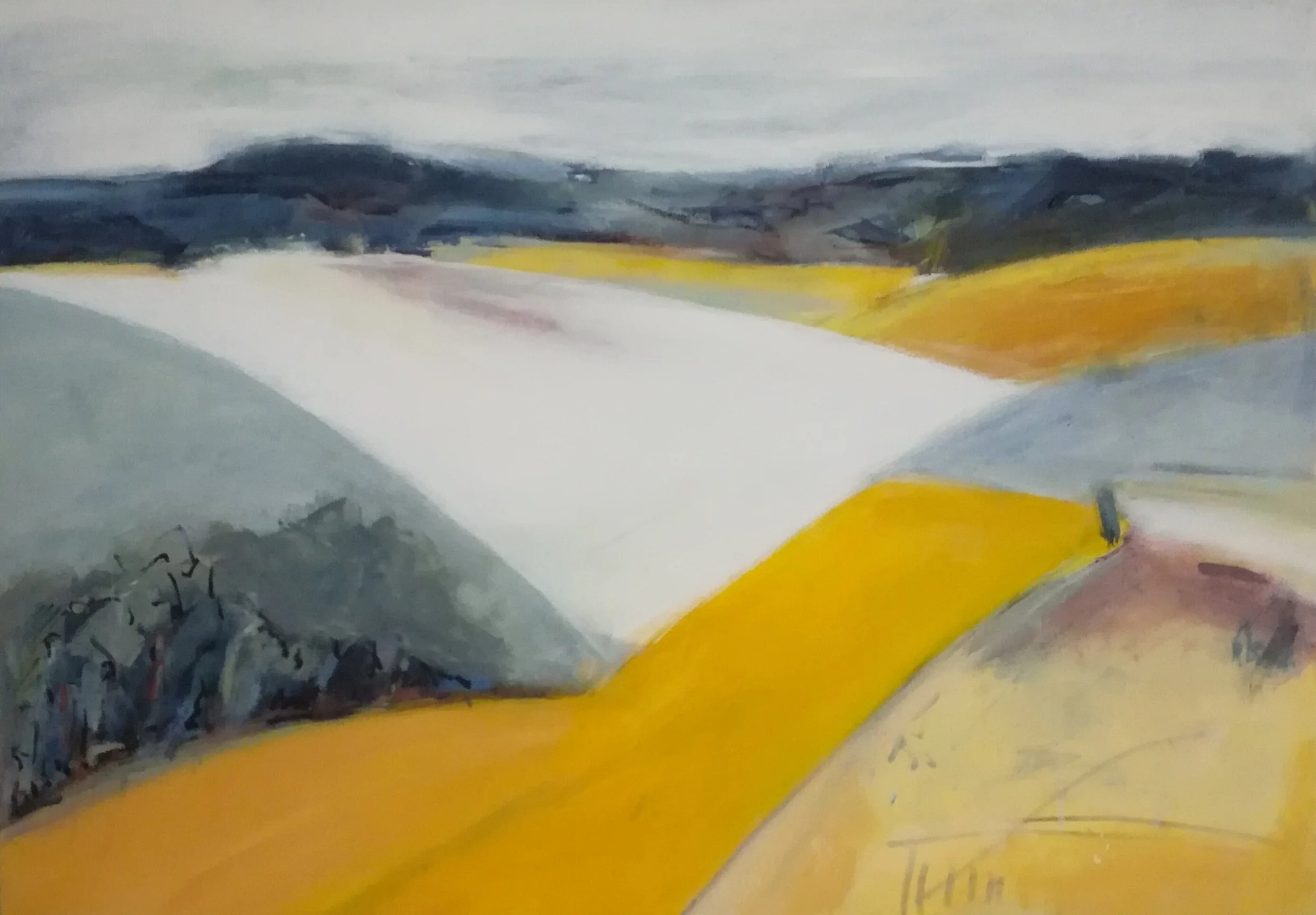 Landscape 1