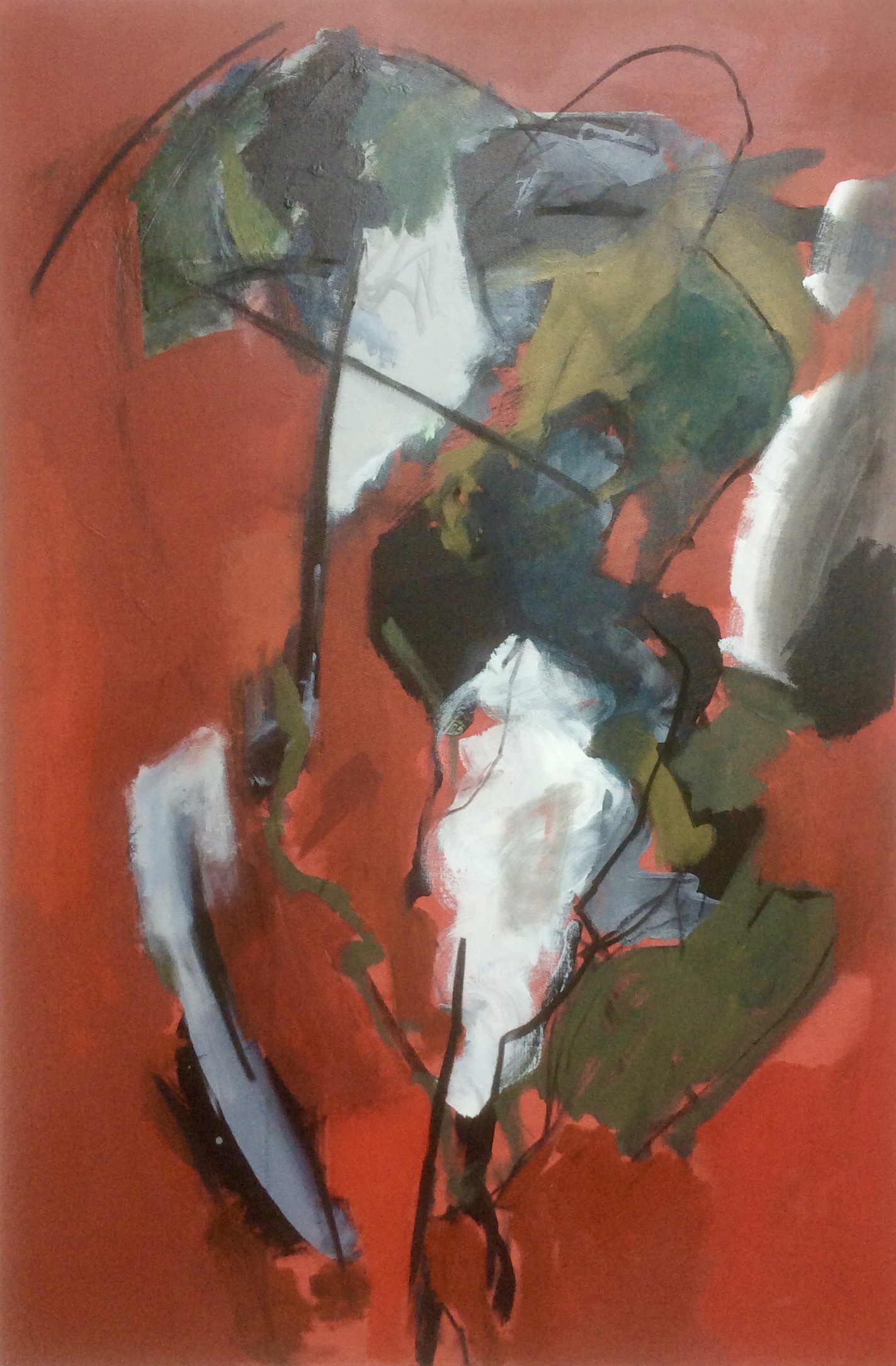 Rider 7