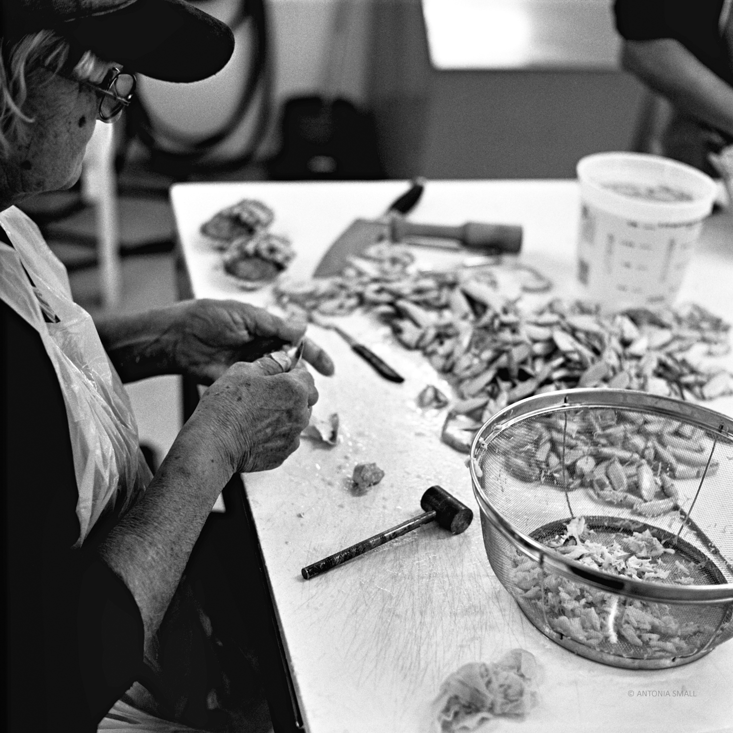 Betty Libby picking crabs