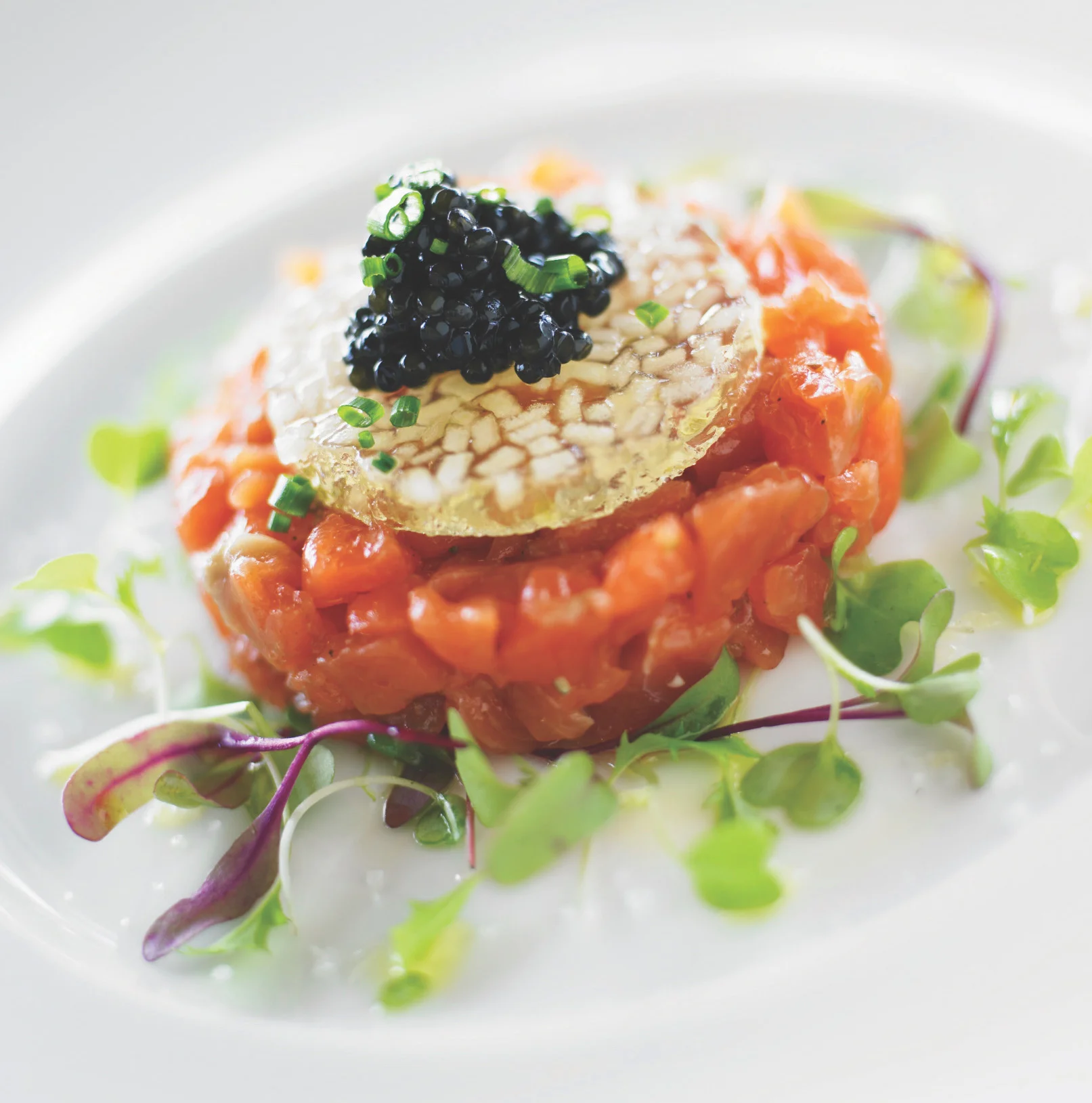 RLE Image 1 Caviar.jpg