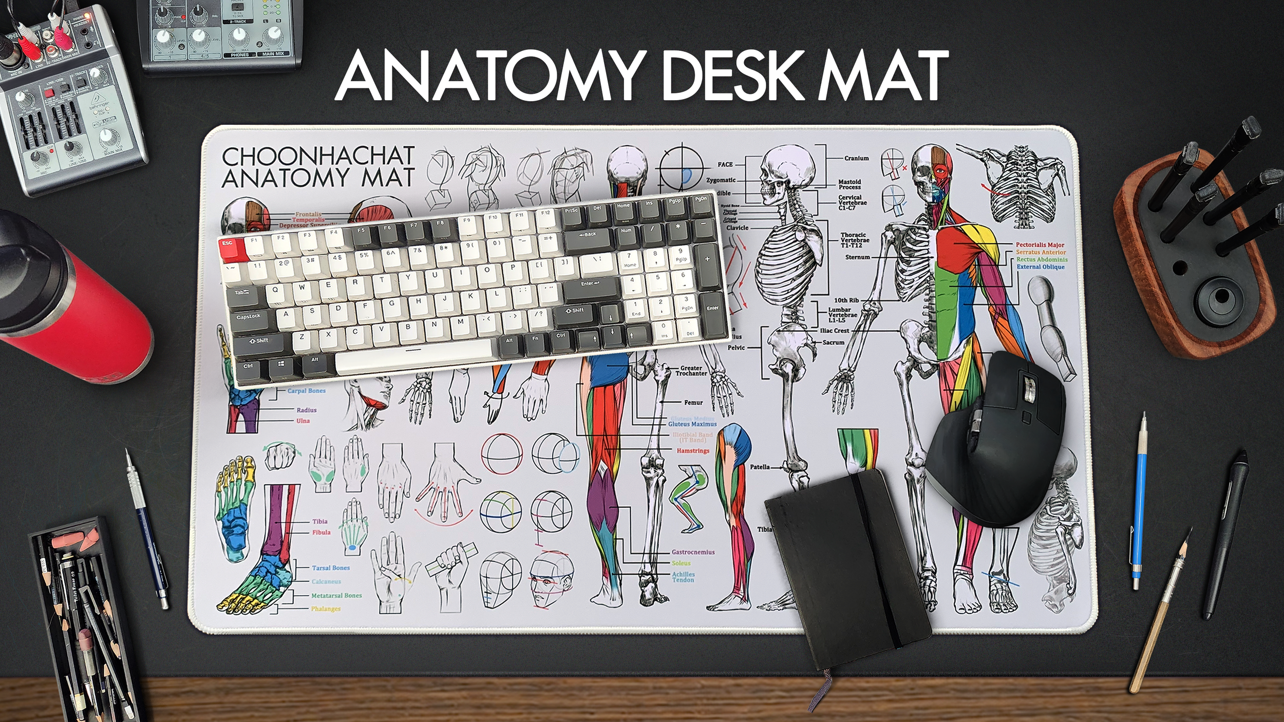 I Made the Perfect Desk Mat for Learning Anatomy!