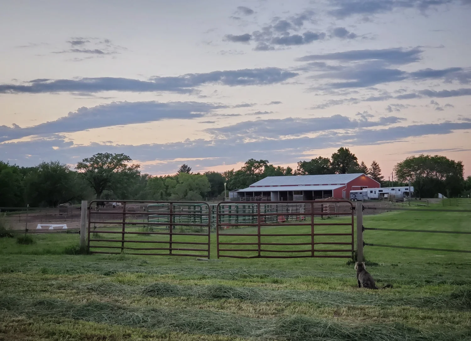 Des Moines Horse BoardingThunder's Farm, LLC
