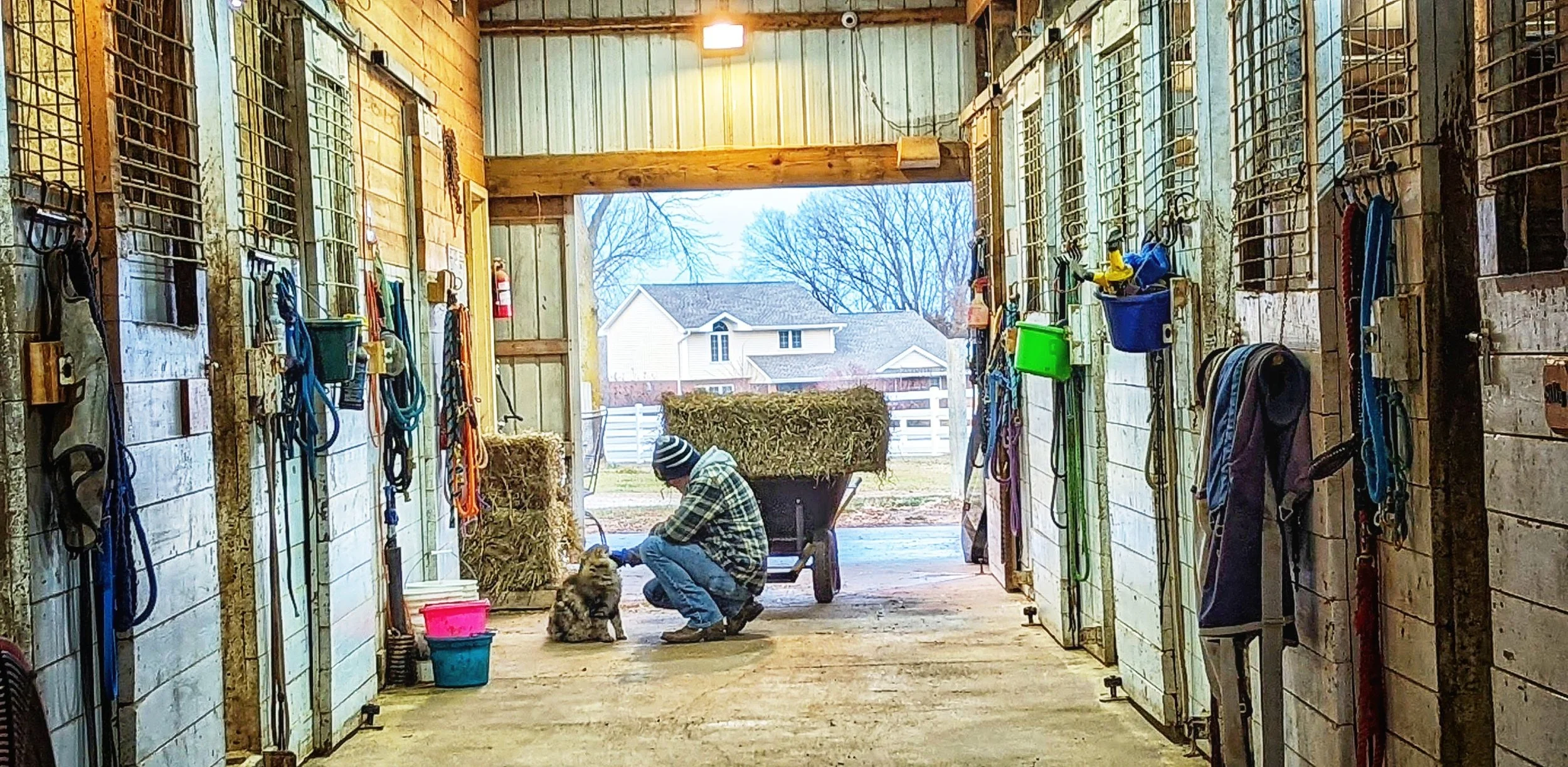 Des Moines Horse BoardingThunder's Farm, LLC