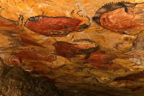 Scout Adventure #10 // Uncovering 10,000 Years of Spanish Prehistory in Cantabria