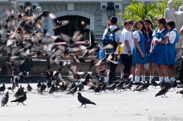 Puerto Rico for Scout Project by Stacey Viera-6