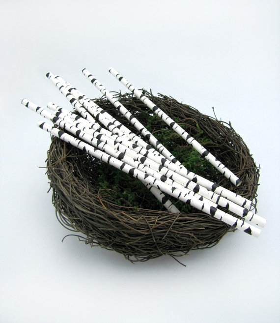 Birch Bark Paper Straws