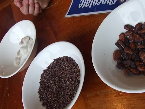 Mindo Chocolate Tour: beans