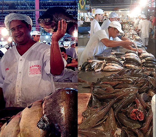 manaus-brazilfish-market