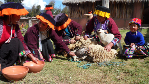 textiles-of-peru-4-sheep-shearing