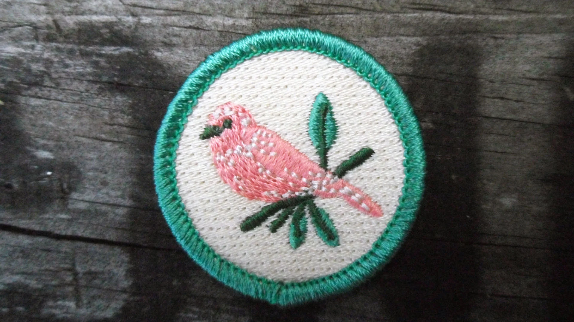 birdwatching badge - front.jpg