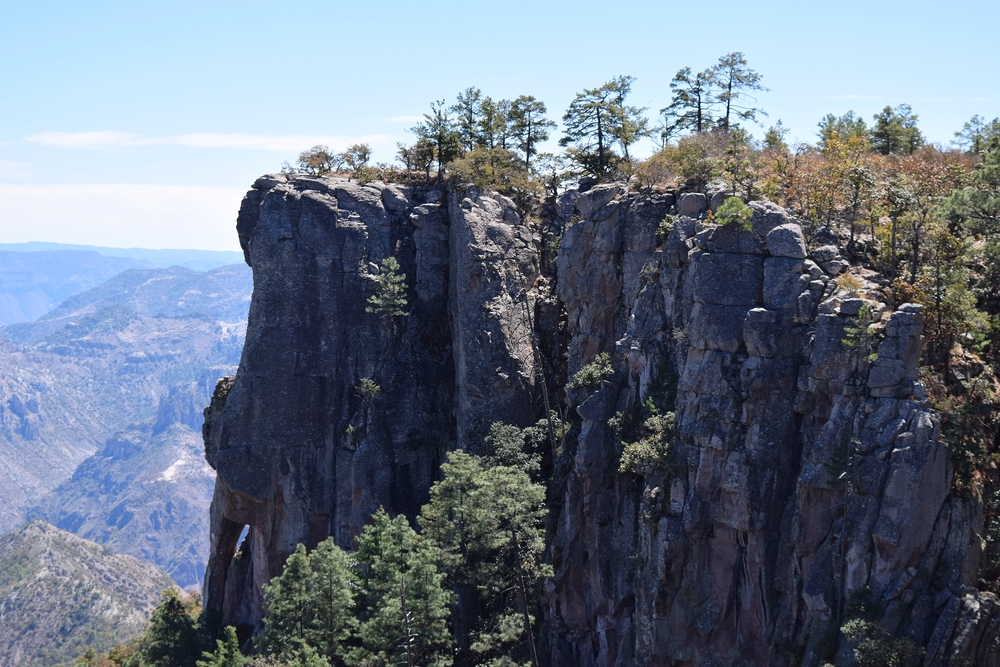 DSC_0478.jpg