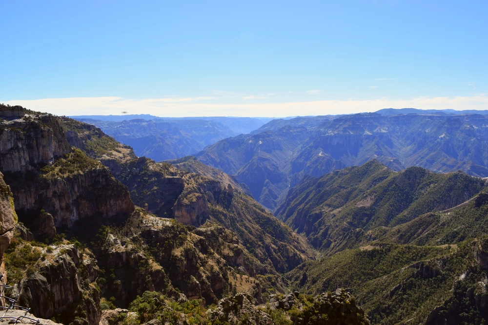 DSC_0365.jpg