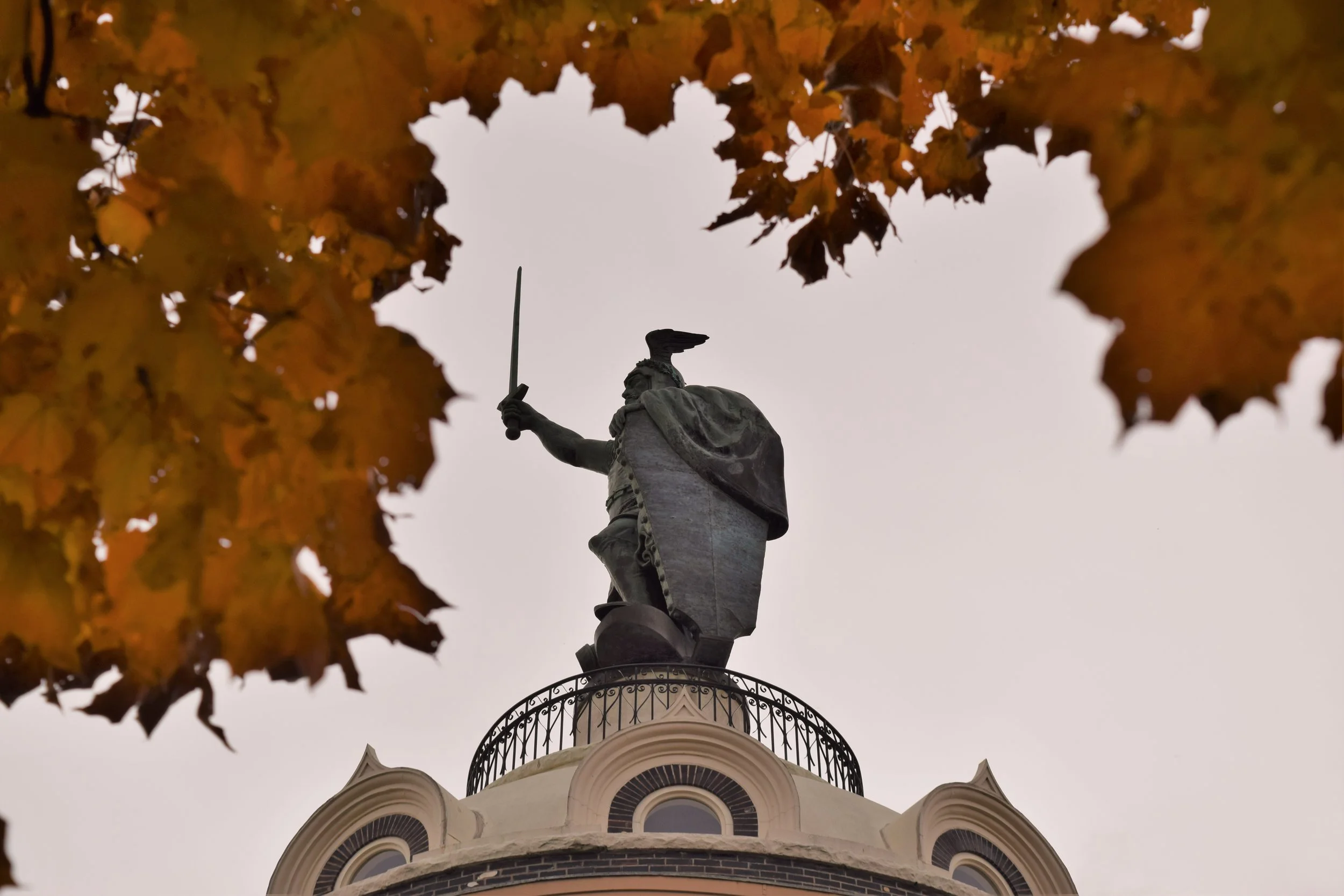 DSC_0926.JPG