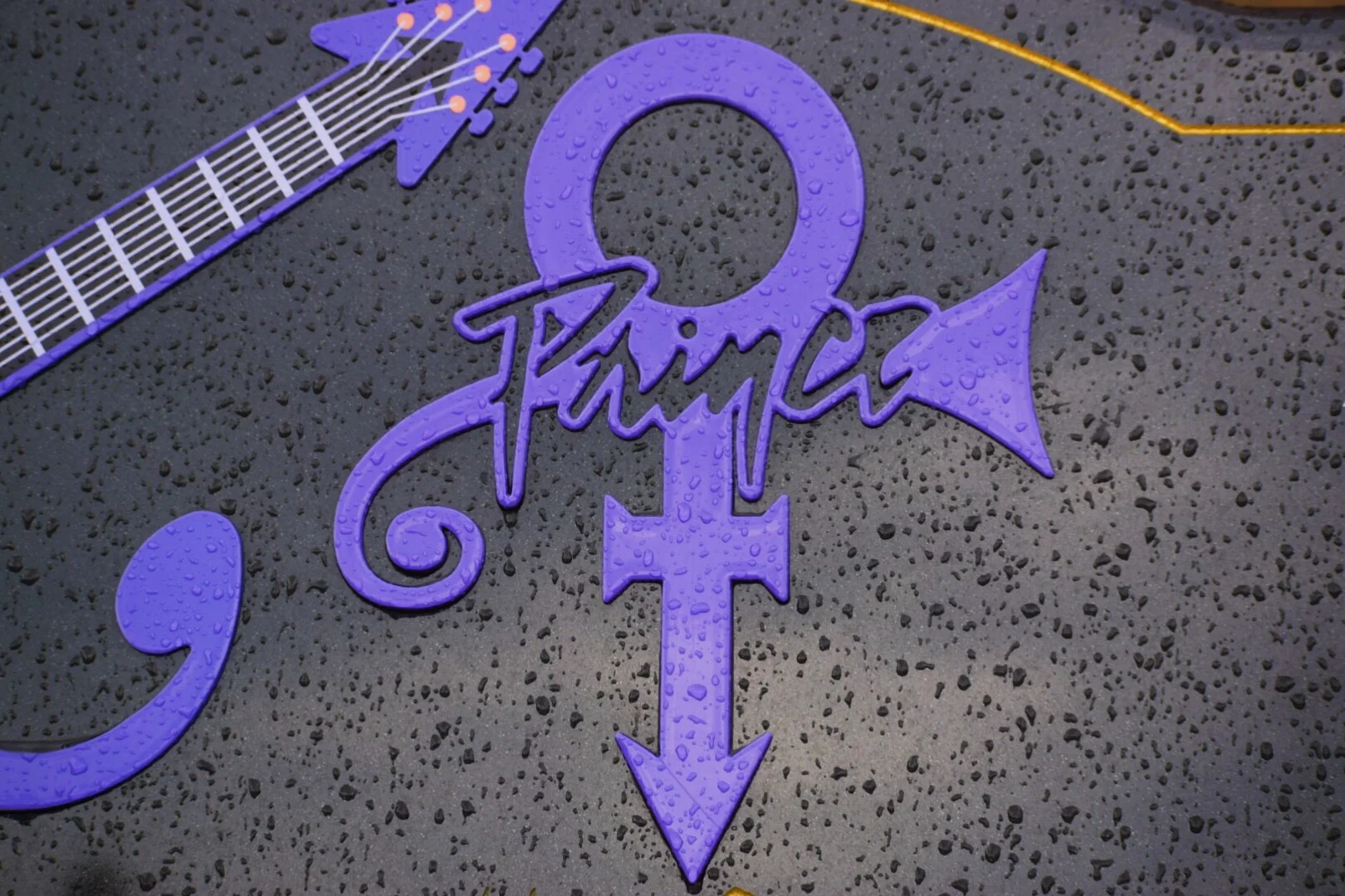 My Name is Prince and I Am Funky