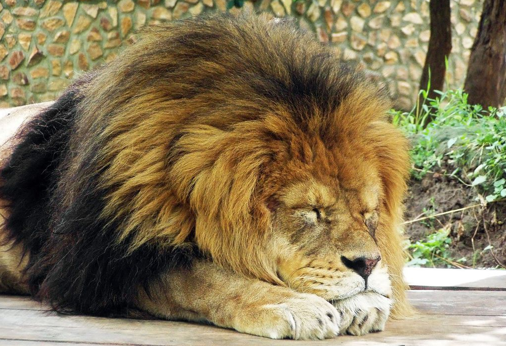 7 ways to boost your energy, against all odds!