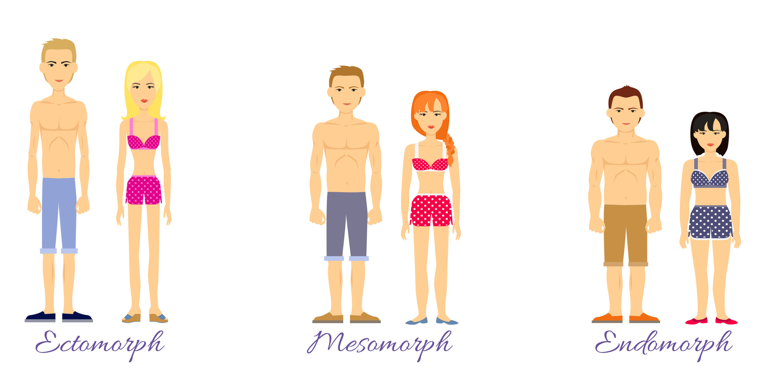 Your Body Type - Ectomorph, Mesomorph or Endomorph?