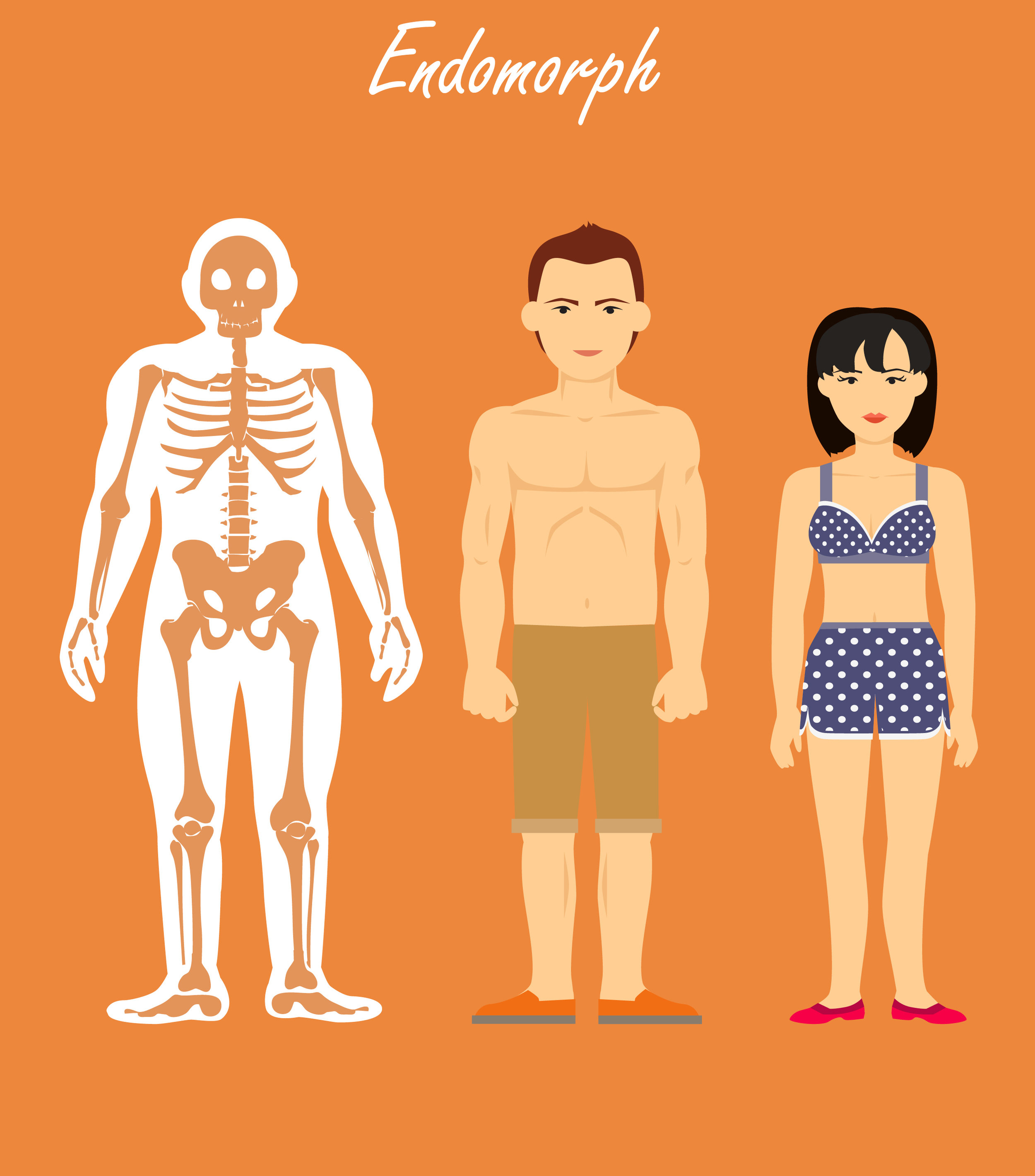 how to find out your body type endomorph