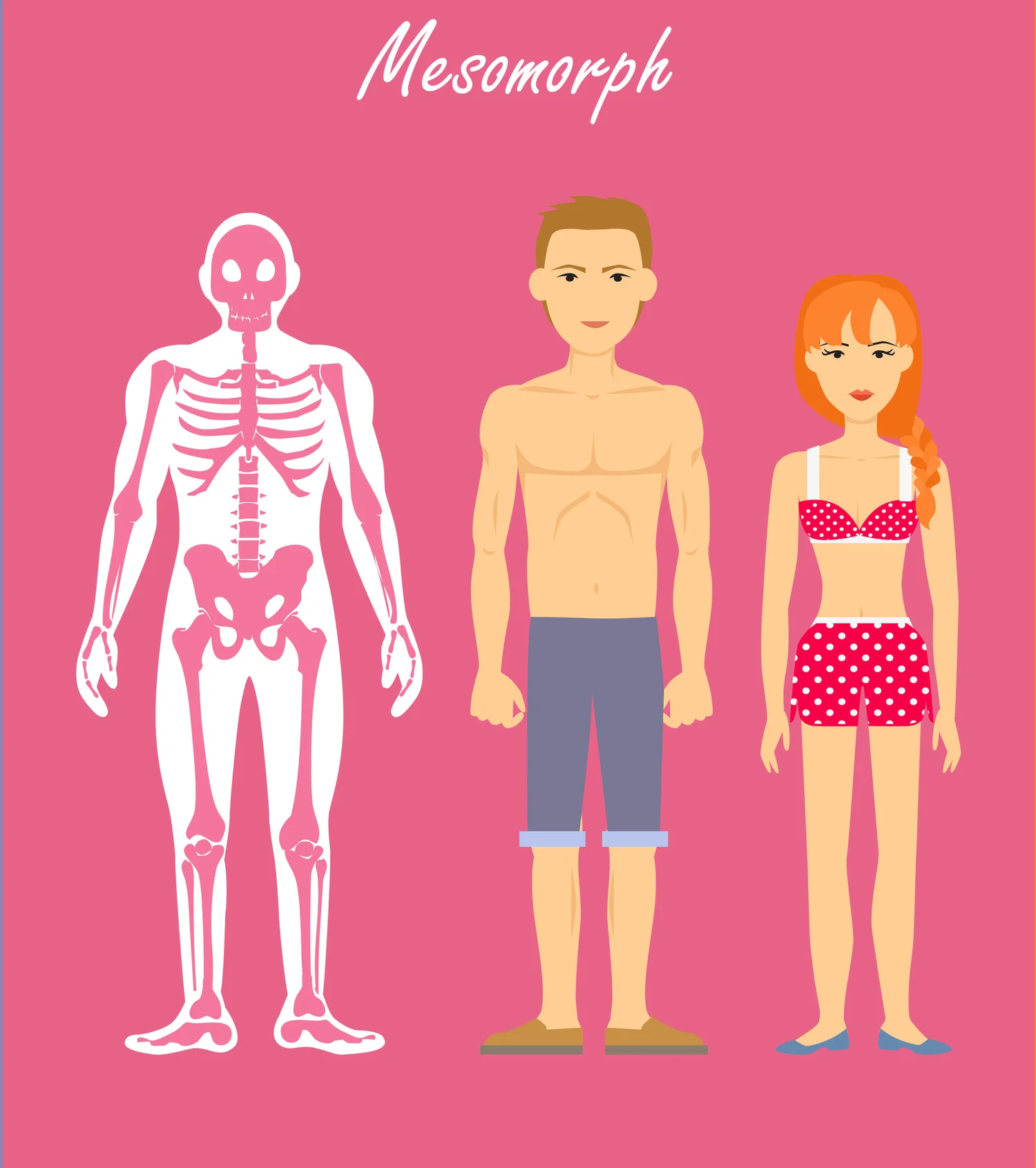 Mesomorph Geometry Endomorph, Mesomorph and Ectomorph: How to Find Your Body Type | DEXA ...