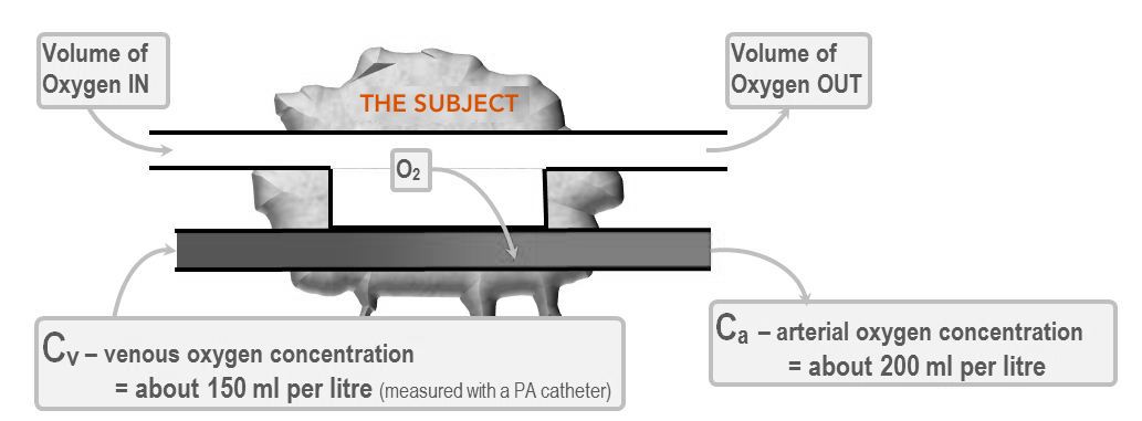 Illustration of Ficks principle.JPG