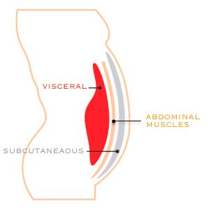 subcutaneous-versus-visceral-fat-.png