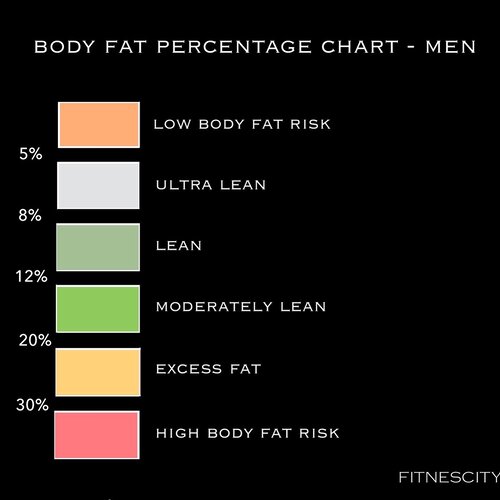 A Guide To Achieving a Healthy Body Fat Percentage - InBody USA