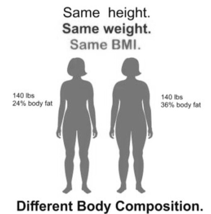 What is the ideal body fat percentage? Understand your body composition ...