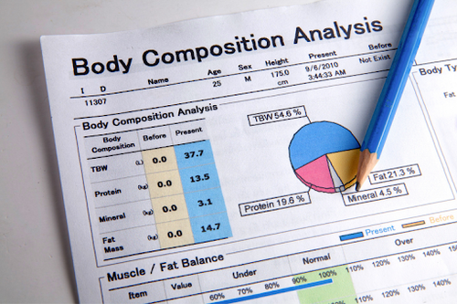 Body Composition - Health Insights