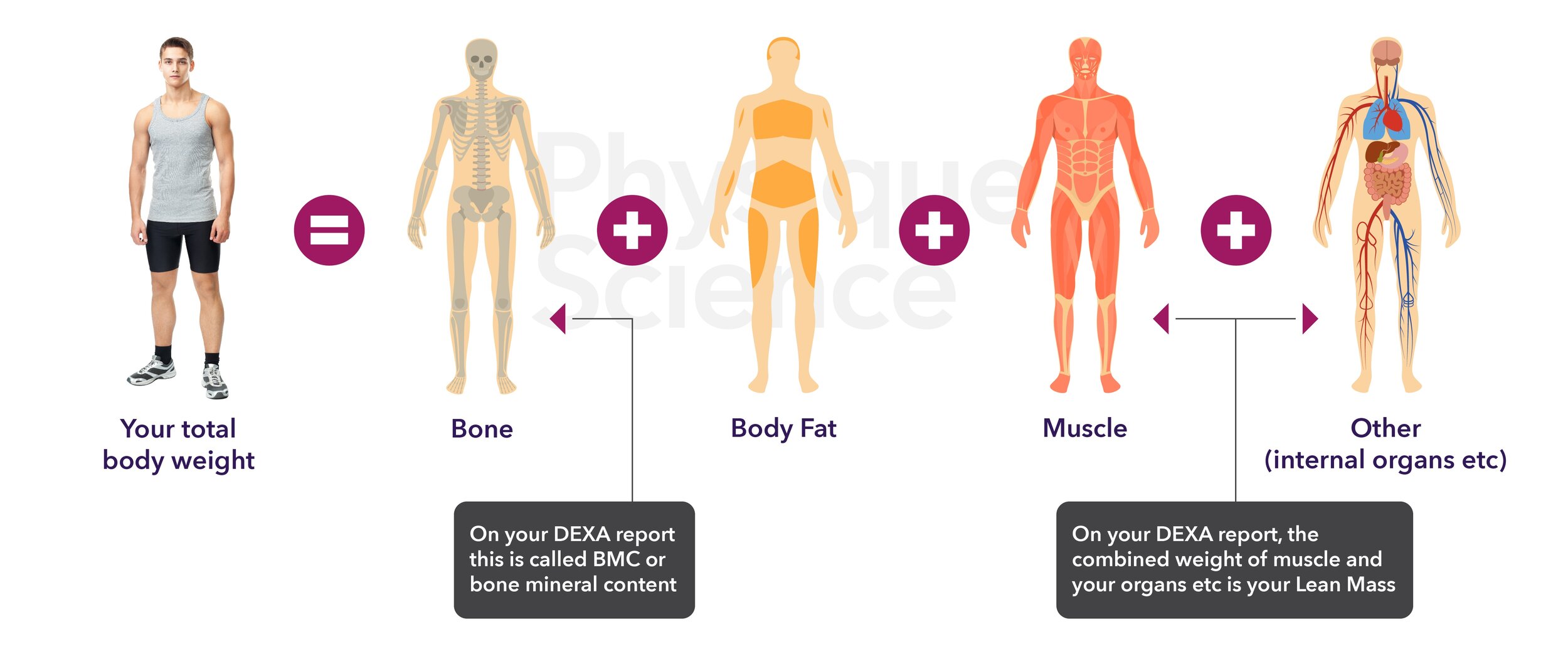 Body Composition: What It Is and Ways to Determine It