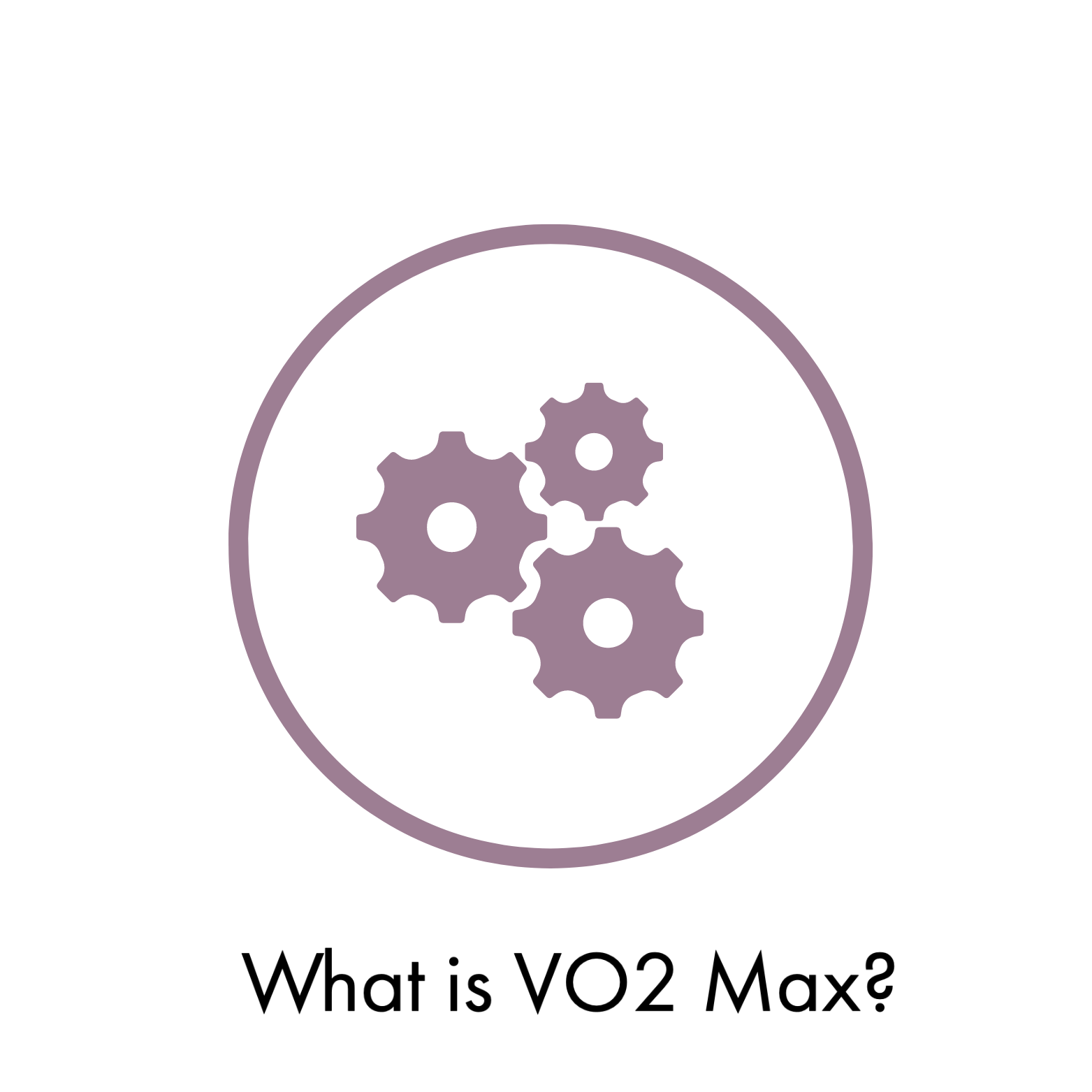 What is VO2 Max