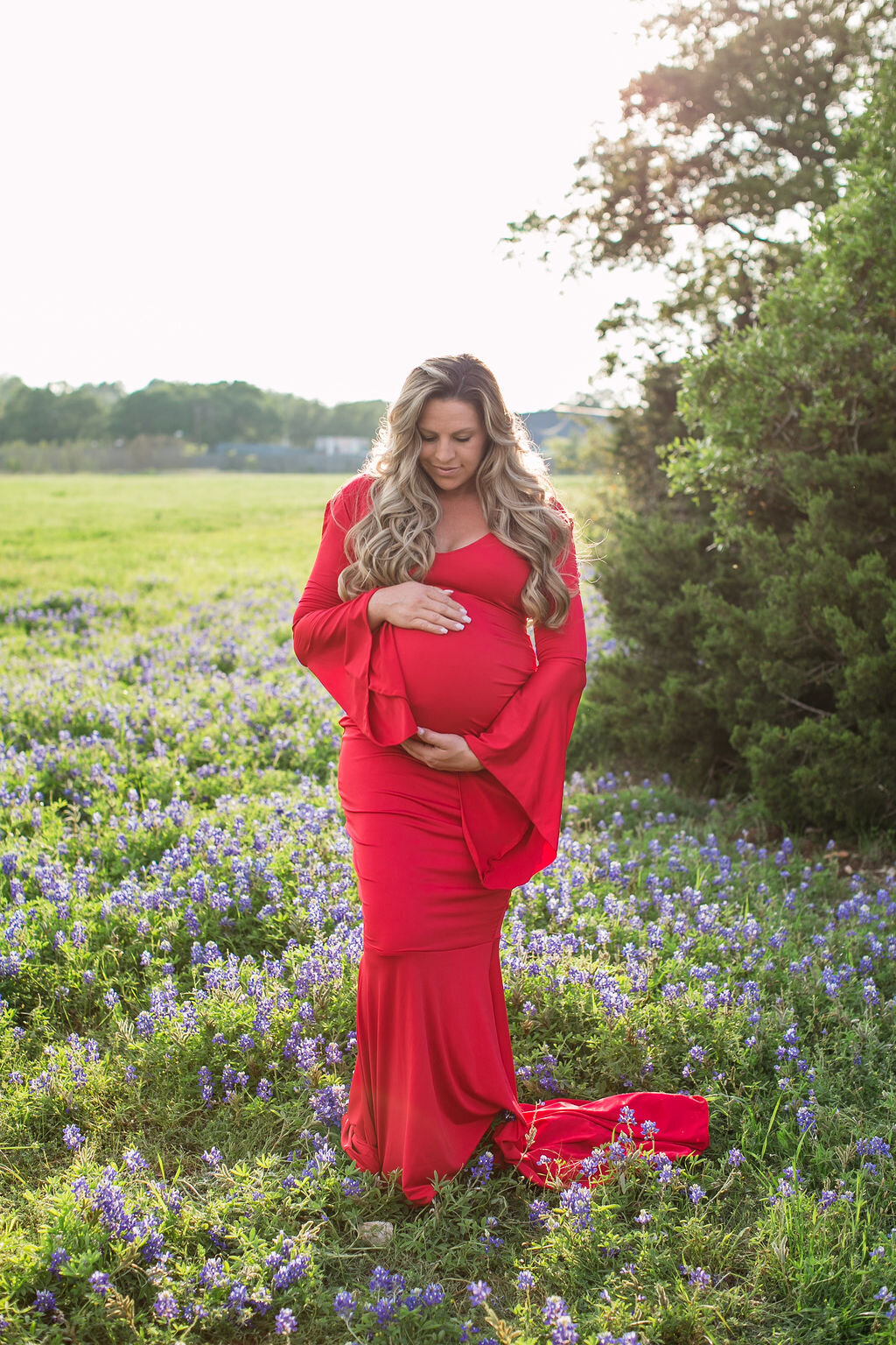 J&L Designs Maternity Gown | Maternity Gowns for Photoshoot