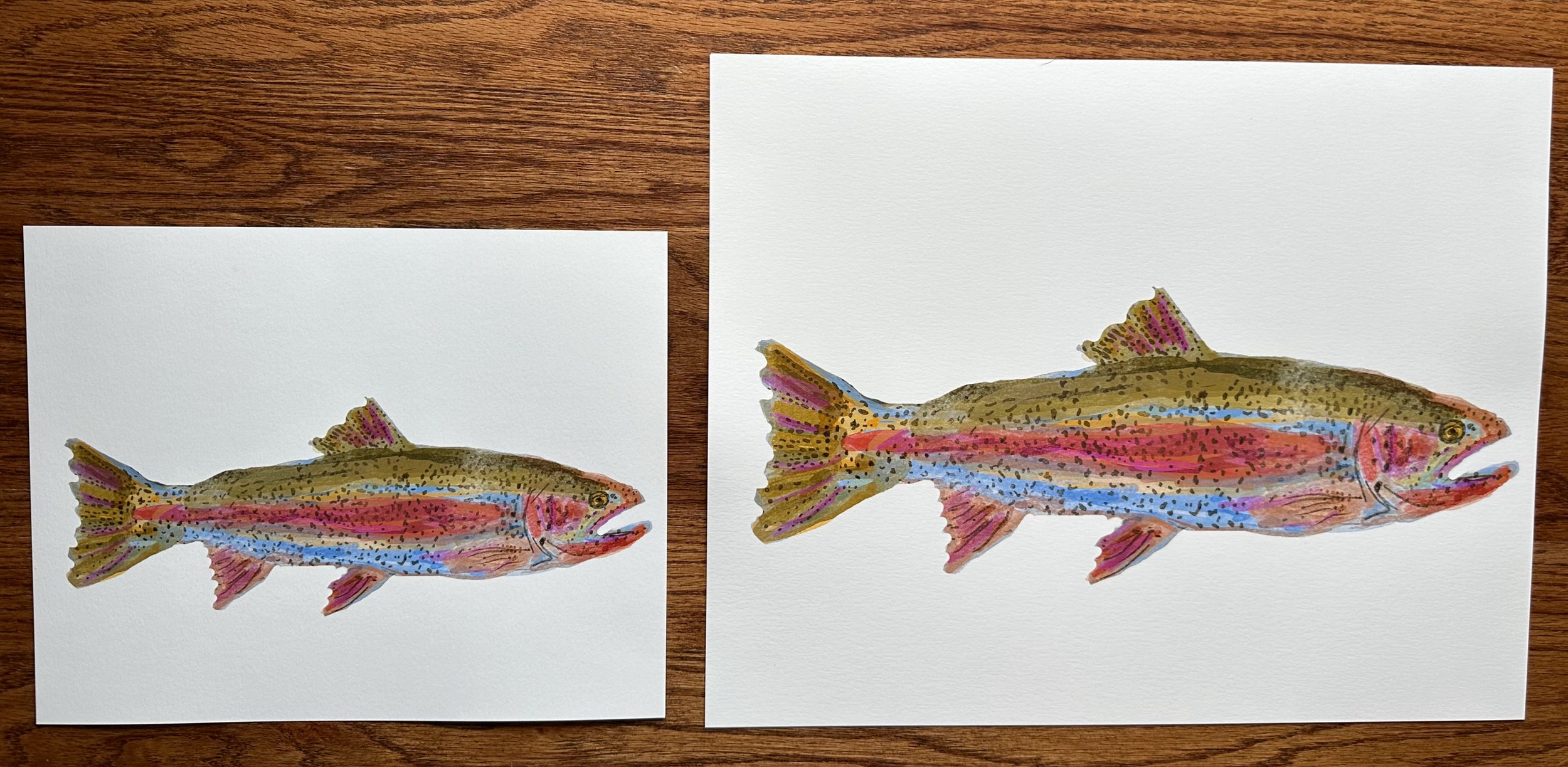 Rainbow Trout two sizes.jpg