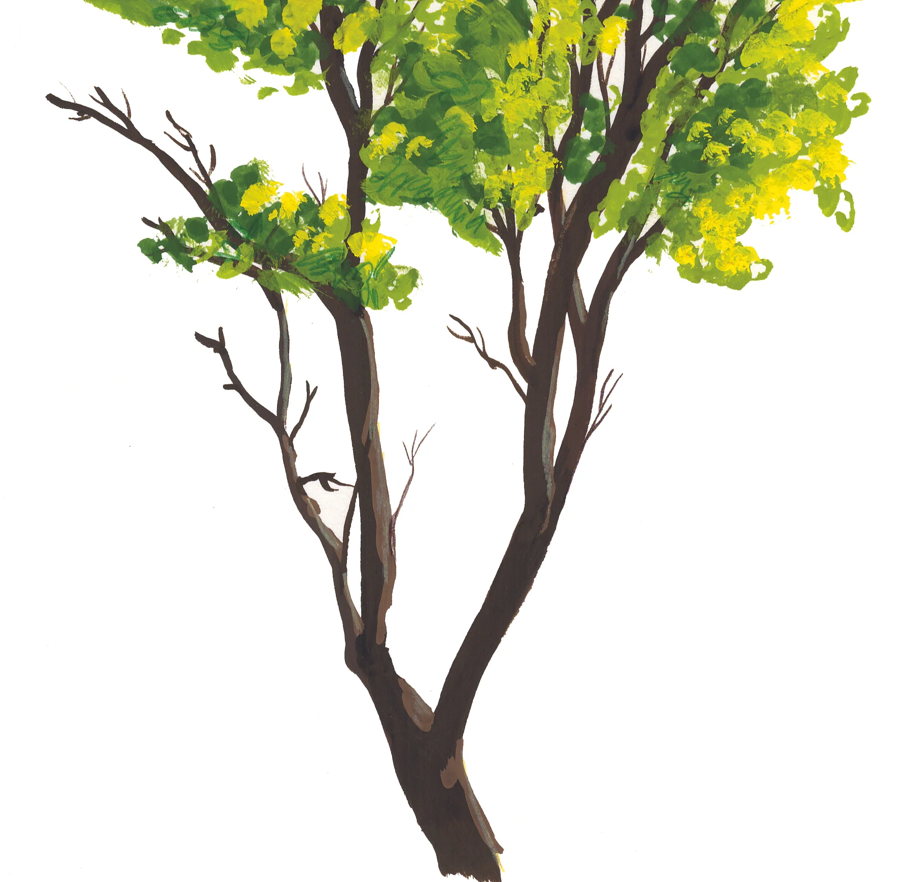 tree.jpg